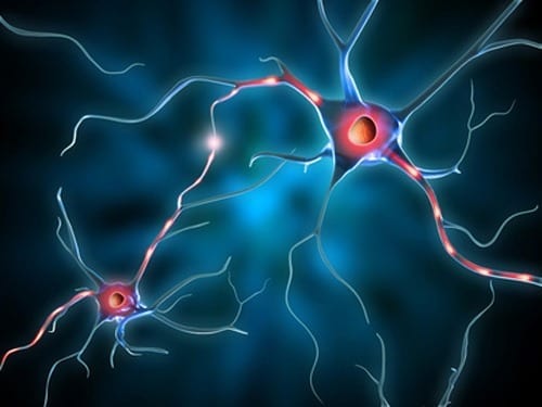 Regenerating Memory with Neural Stem Cells