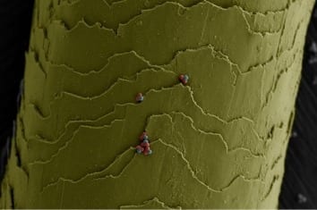 Tiny Transformers: Chemists Create Microscopic and Malleable Building Blocks