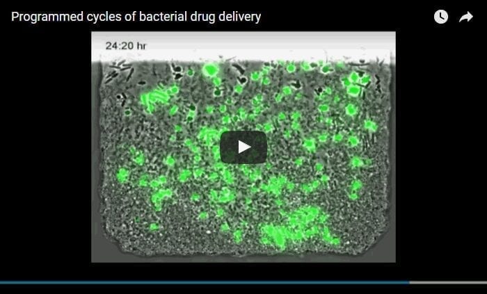 Synthetic Biology Used to Limit Bacterial Growth and Coordinate Drug Release