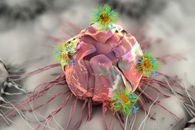 Patch that delivers drug, gene, and light-based therapy to tumor sites shows promising results