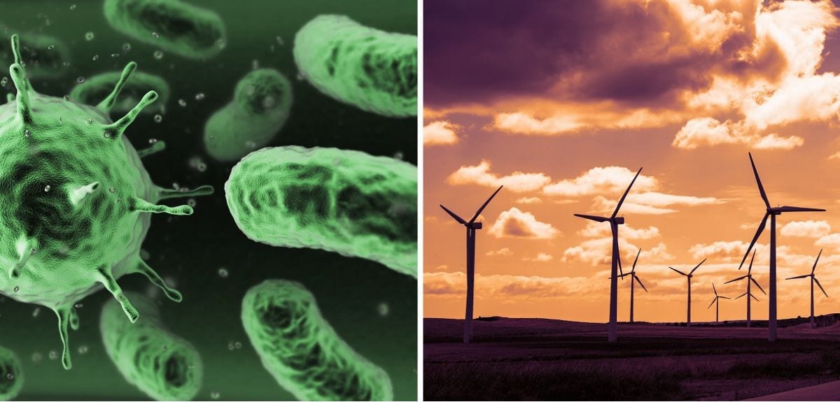 Bacteria-powered 'windfarm' could provide a steady power source for micromachines