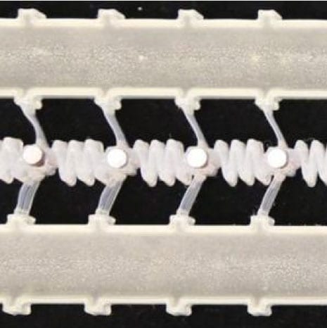 Bistable beams — structures stable in two distinct state — store and release elastic energy to send a wave of information through soft materials. (Image courtesy of the Bertoldi Lab/Harvard SEAS)