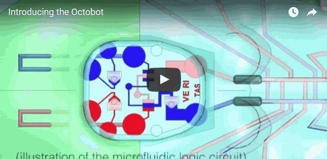 The first autonomous, entirely soft robot: with no electronics
