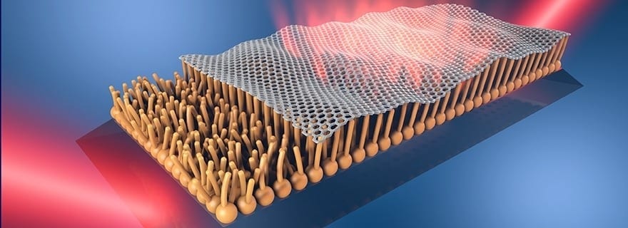 Travelling through the body with graphene