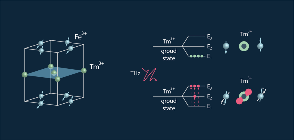 The figure shows the spin and lattice structure of thulium orthoferrite (TmFeO?) on the left and the T-ray-induced transitions between the energy levels of thulium ions (Tm³?), which trigger coherent spin dynamics (memory switching), on the right.