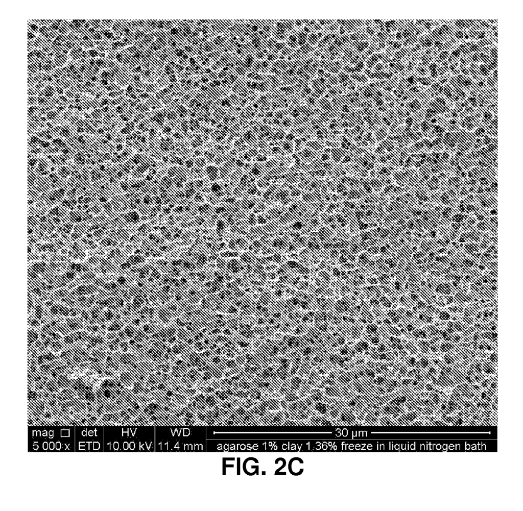 Porous low-density nanoclay via Google
