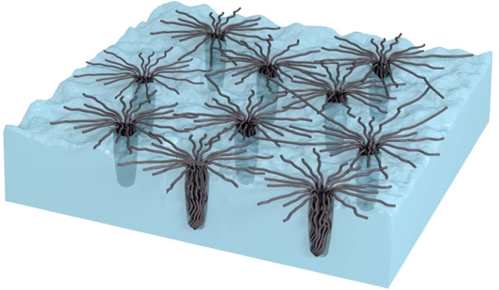 A new dry adhesive loses no traction in the cold and becomes stronger in extreme heat. Here’s how: Bundled nodes of carbon nanotubes penetrate surface cavities and form web-like structures likely adding to the van der Waal’s attraction. As the surface heats it becomes increasingly rough, and the bundles appear to penetrate deeper, becoming locked into place and further increasing the adhesion.