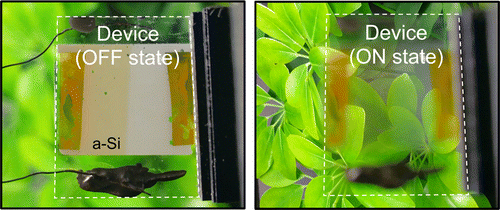 The ability to electrically control transparency and scattering of light is important for many optoelectronic devices; however, such versatility usually comes with additional unwanted optical absorption and power loss. Here we present a hybrid switchable solar window device based on polymer dispersed liquid crystals (PDLCs) coupled to a semiconducting absorber, which can switch between highly transmissive and highly scattering states while simultaneously generating power. By applying a voltage across the PDLC layer, the device switches from an opaque, light-scattering structure (useful for room light dimming, privacy, and temperature control) to a clear, transparent window. Further, enabled by the very low operating power requirements of the PDLC (<0.8 mW/cm2), we demonstrate that these switchable solar windows have the potential for self-powering with as little as 13 nm of a-Si.