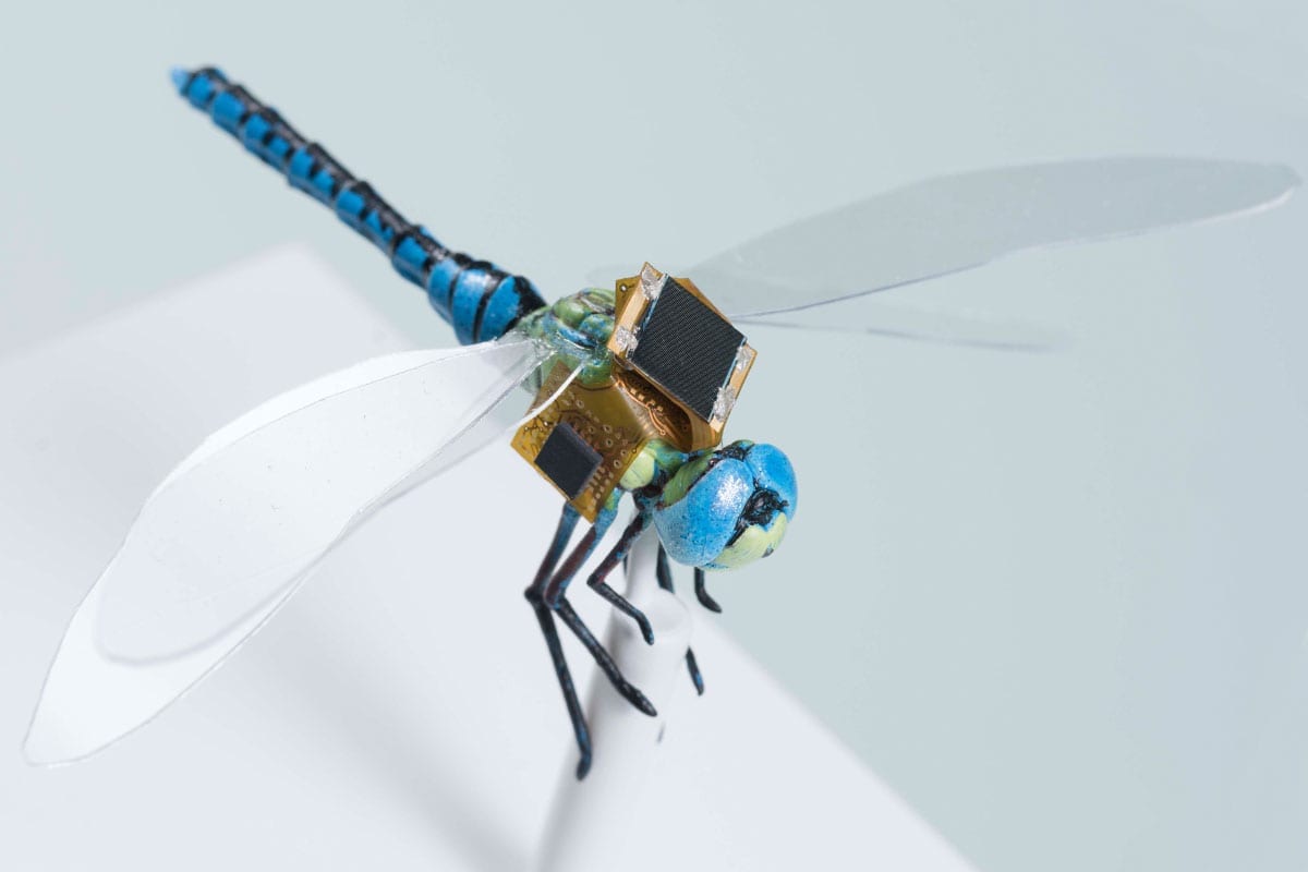 DragonflEye uses dragonfly cyborgs for guided pollination, payload delivery, reconnaissance and even precision medicine and diagnostics