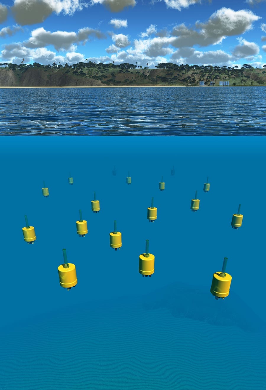 Swarm sensing robots for ocean exploration and protection