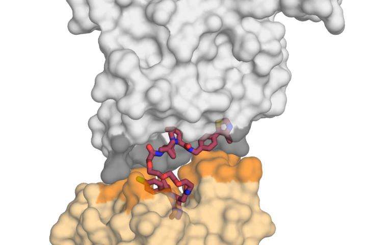 A major breakthrough in targeting the causes of many diseases - proteins