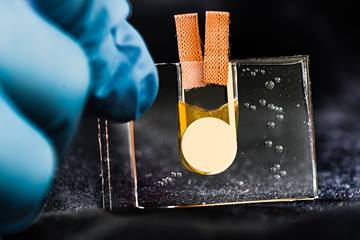 The first thermoelectric organic transistor