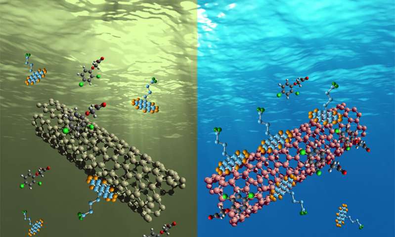 Reusable carbon nanotube water filters could be the future of water filtration