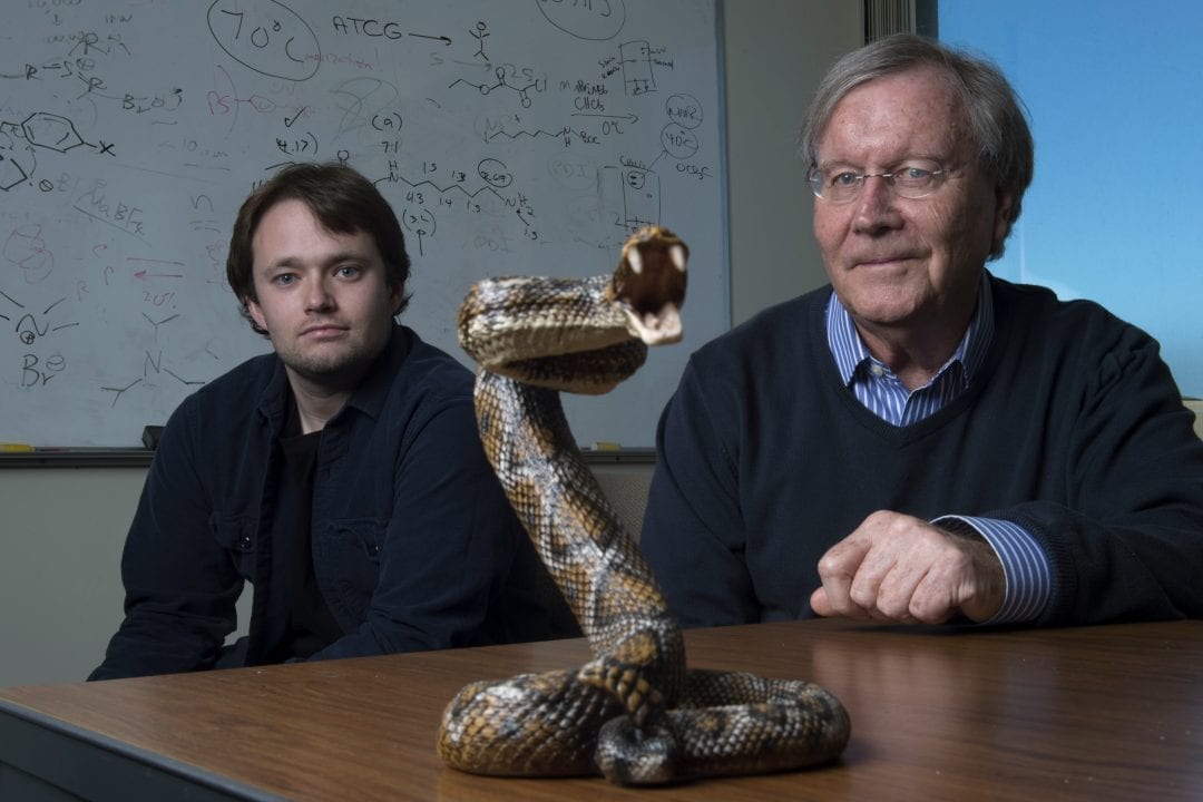 A new way to neutralize deadly snake venom more cheaply and effectively than with traditional anti-venom