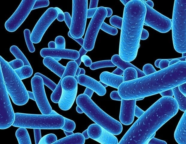 New bacteria defence mechanism discovery could be significant