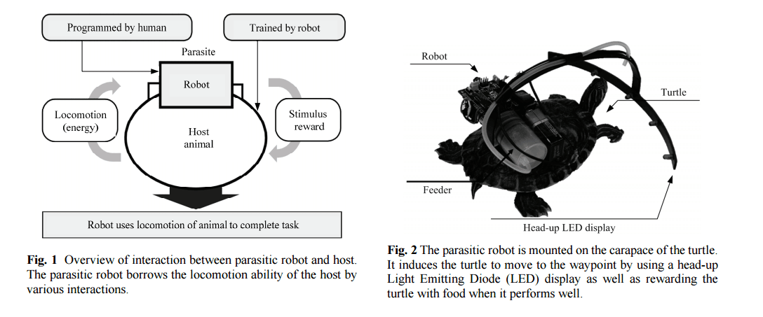 A hybrid animal-robot interaction called: the parasitic robot system