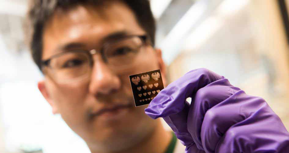 New process makes it easier to build nanomaterials into transistors, solar cells and other devices