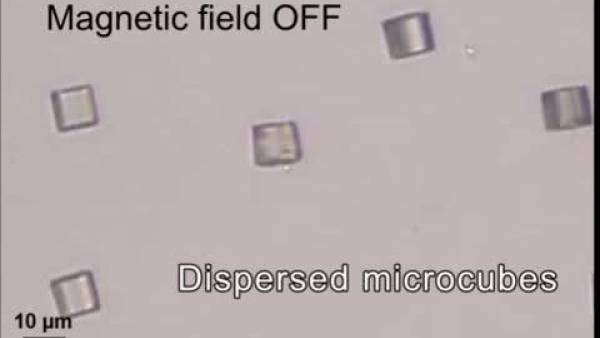 Capturing and transporting single cells with pre-programmed microbot origami