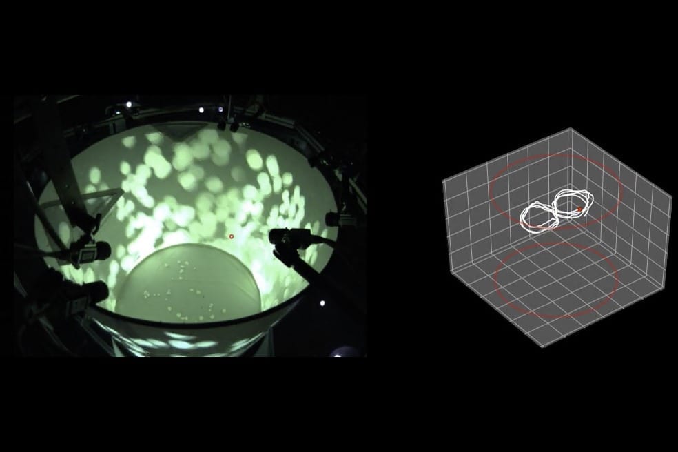 Inspired by the Star Trek Holodeck, biologists are enabling new experiments in virtual reality