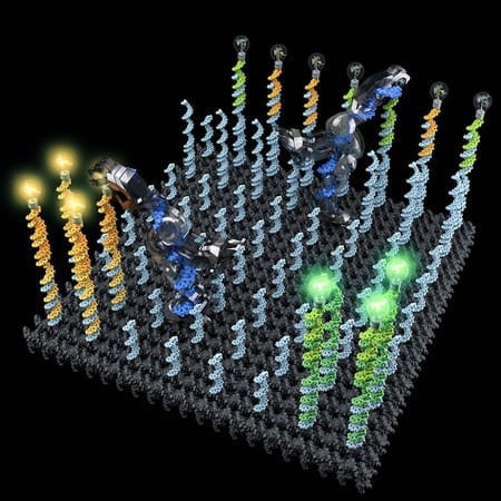 DNA nanorobots can pick up and drop off molecules