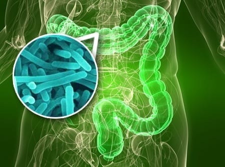Gut bacteria as a powerful modulator of disease