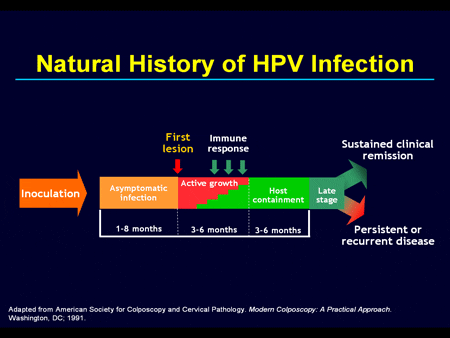 Newest HPV vaccine is highly effective at preventing HPV infection and disease