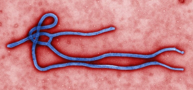 An Ebola vaccine that works for children and adults