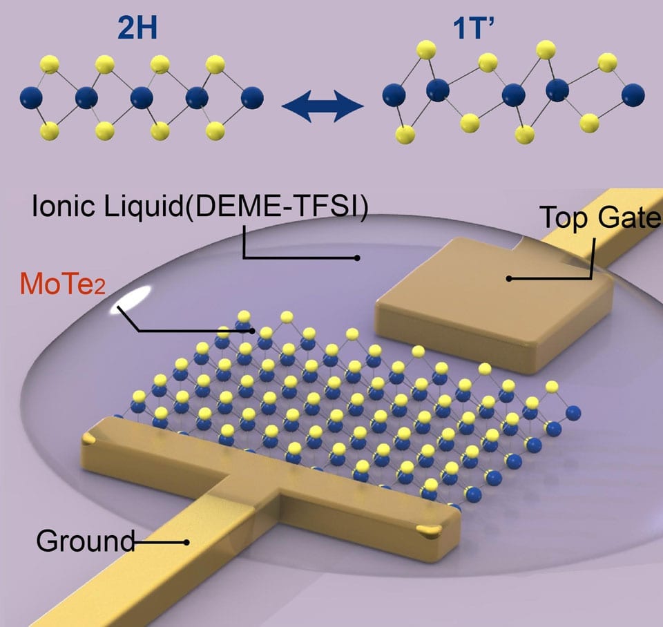 Atomically thin electronic memory devices of the future