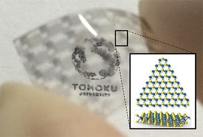 Atomically thin 2D solar cells