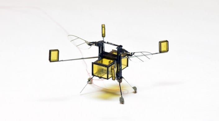 RoboBee can fly, dive into water, swim, propel itself back out of water, and safely land