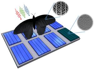 Photovoltaics: Light Absorption Can Be Enhanced by Up to 200 Percent?