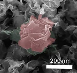 Growing a superior hydrogen catalyst for fuel cells
