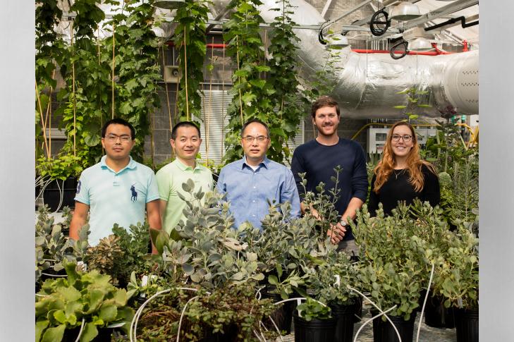 Drought-resistant plant genes could play a significant role in bioengineering