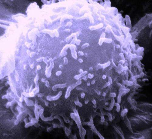 Finding and killing cancer with flourescent nanomedicine