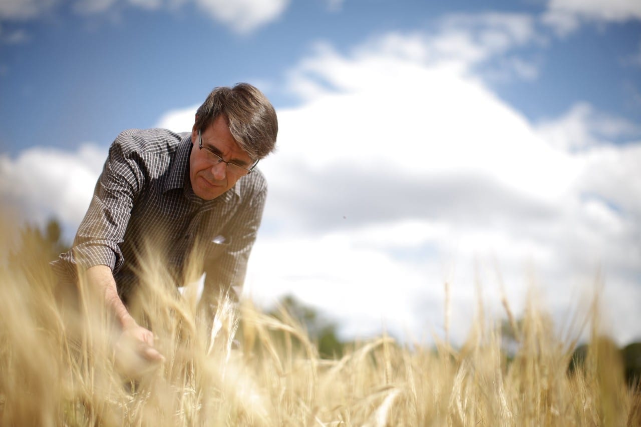 Food security just got a little better with a breakthrough in wheat disease