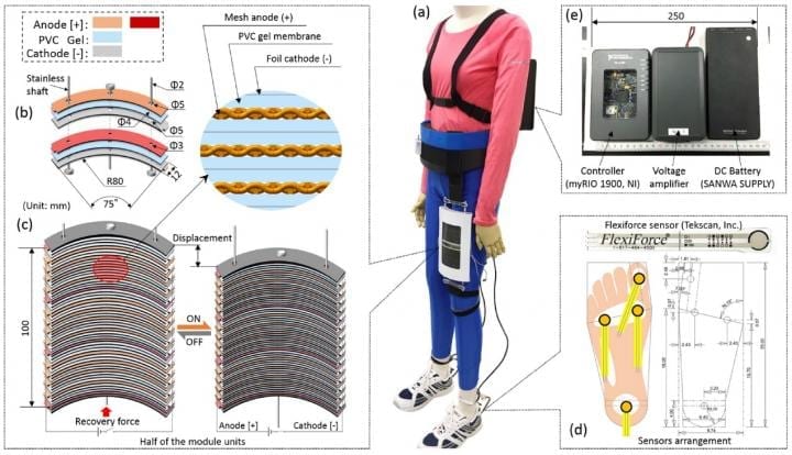 One step closer to artificial muscles with gel-based robotics