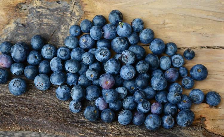 Could blueberry vinegar help to restore cognitive function?