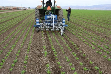 Robotic weeders are coming to a field near you