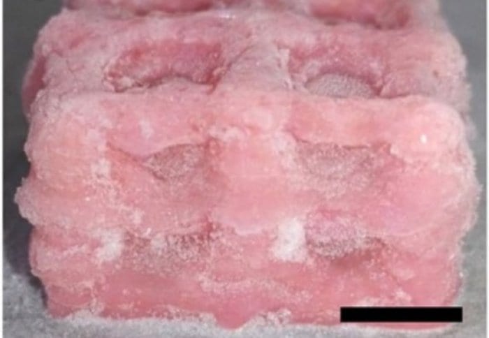 Tissue regeneration and replica organs possible with cryogenics and a new 3D printing technique