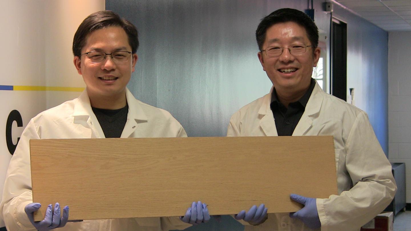 How wood could replace steel by becoming as strong as titanium but lighter and cheaper