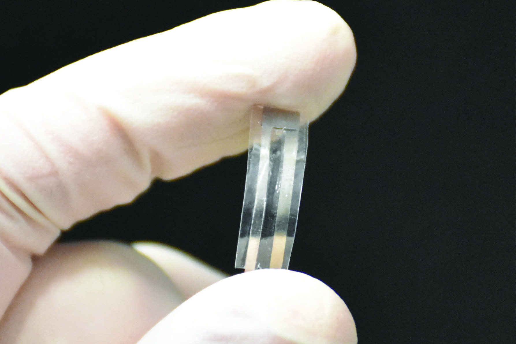 A biodegradable pressure sensor that could help doctors monitor medical conditions before dissolving harmlessly in a patient’s body