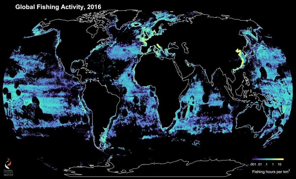 The global fishing fleet is so big it can be seen from space