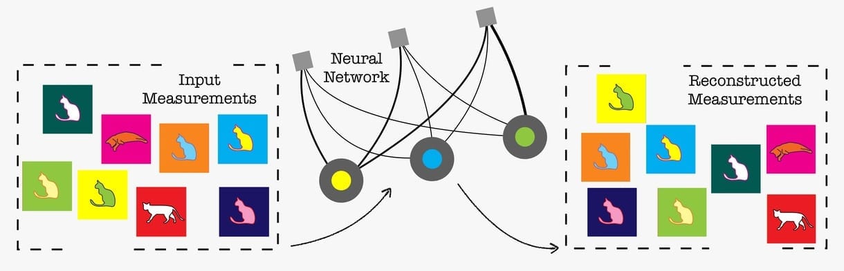 Using an AI neural network to probe quantum systems at exponential speed