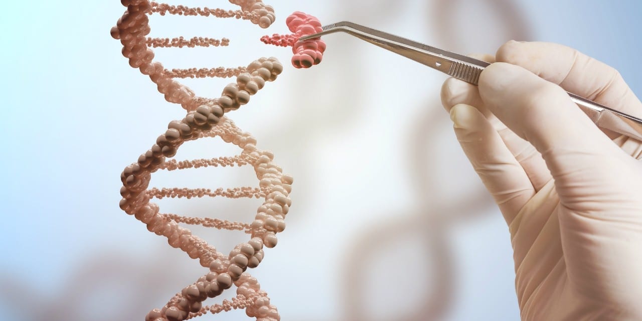 Breakthrough in gene editing vastly improves precision of gene-editing technology