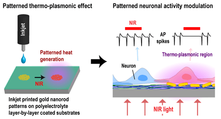 A new nano-photothermal neural stimulation method is inkjet printed