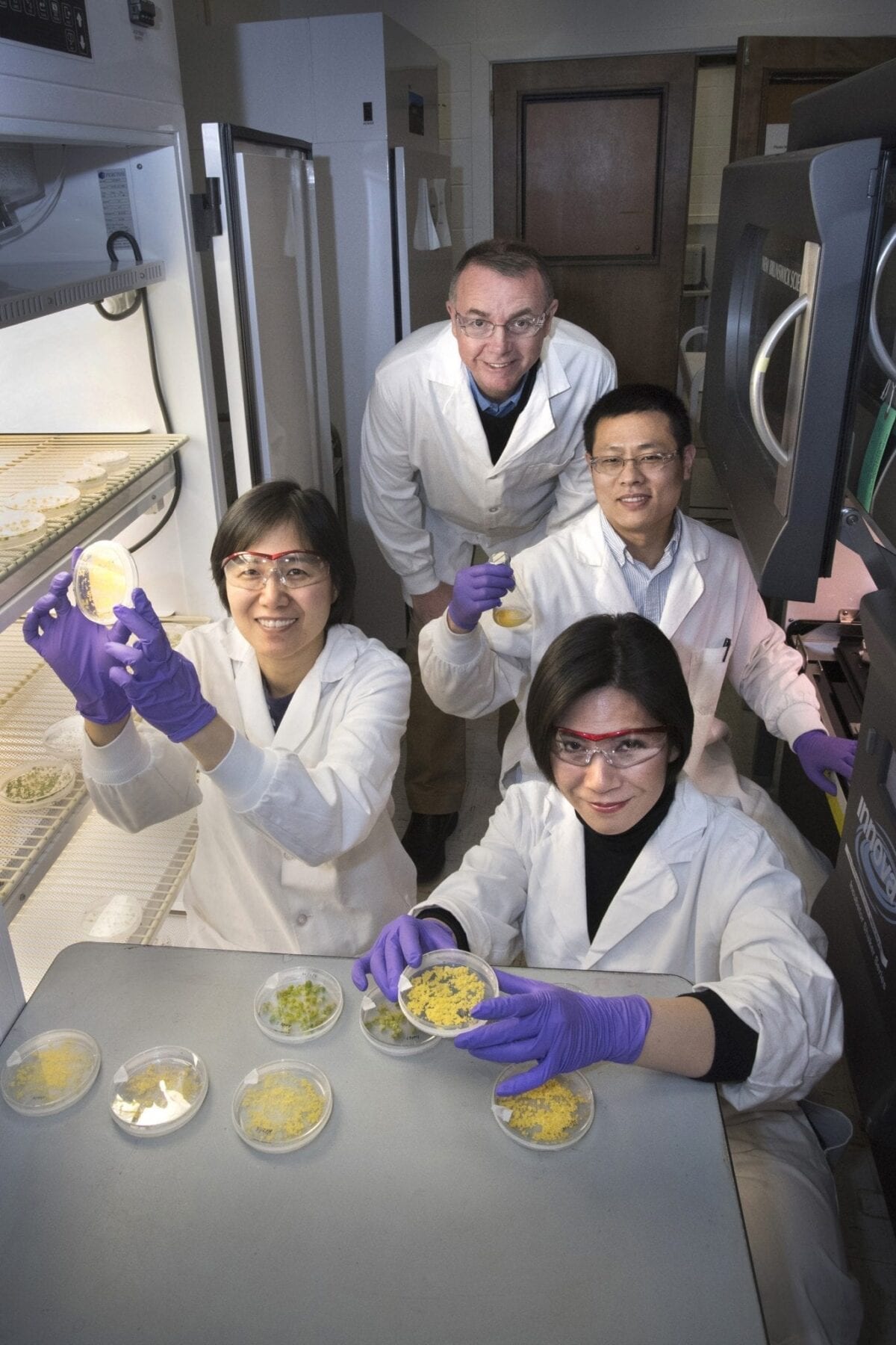 A possible pathway toward generating abundant biofuels and plant-derived bioproducts