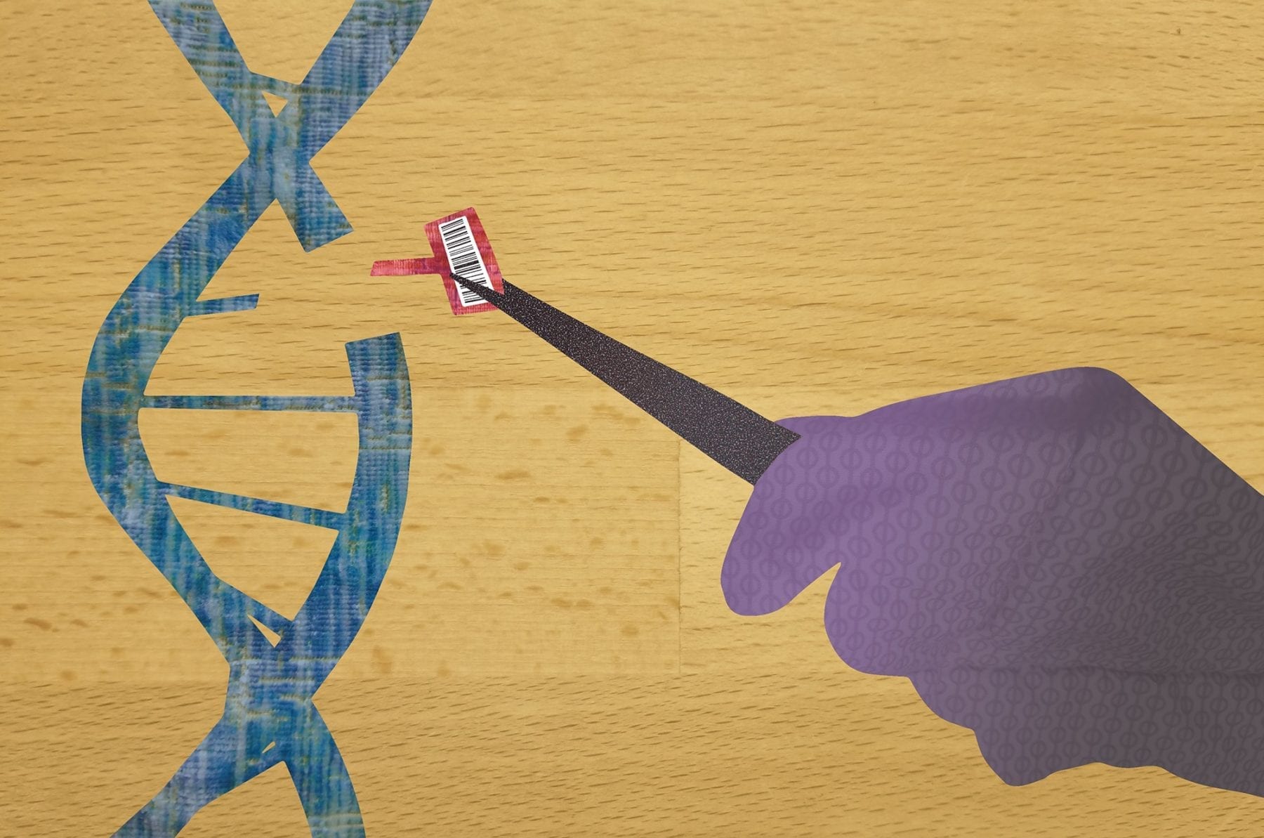 Transforming the CRISPR gene editor into a highly precision tool