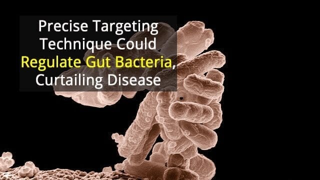 Using chemical compounds to target and inhibit the growth of specific microbes in the gut to help inhibit or stop disease