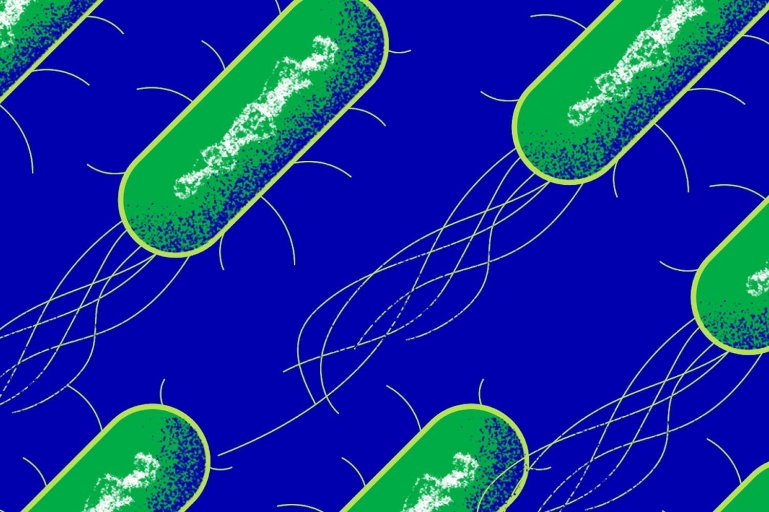 A new approach to treating infection by targeting bacterial armor