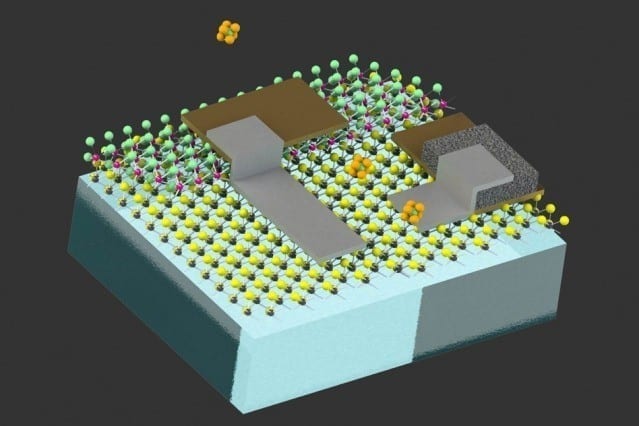 Cell sized robots introduce a new field in robotics